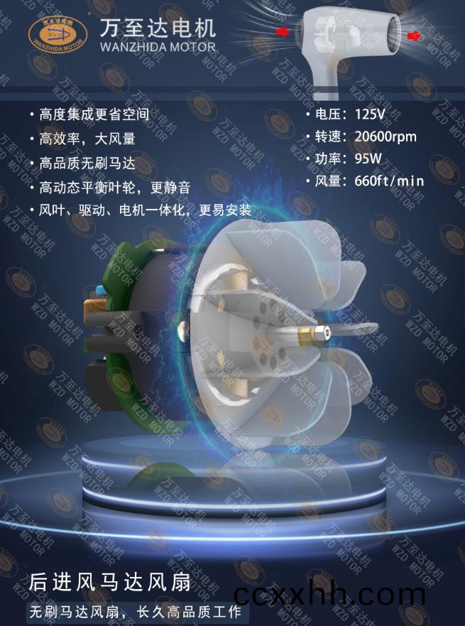 110000转超(chao)高(gao)速吹风(feng)机电机_电吹风(feng)电机(ji)定(ding)制-万至(zhi)达(da)电机